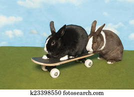 Bunny Gives A Helping Hand Bunny Gives A Helping Hand