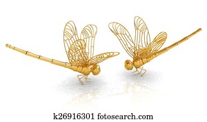 Dragonfly Dragonfly