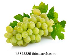 fresh grape fruits with green leaves
