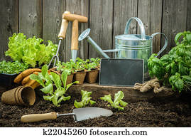 Gardening Gardening