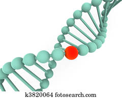 gene in DNA gene in DNA