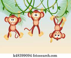 monkeys on lianas in the jungle