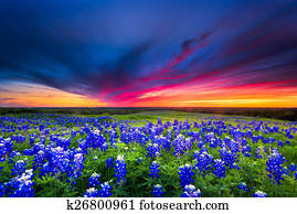 Sunset on Sugar Ridge Road, Ennis, TX