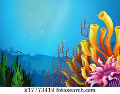 A beautiful view under the sea A beautiful view under the sea