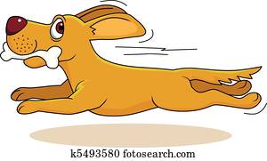 dog running dog running