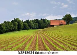 agriculture fields agriculture fields