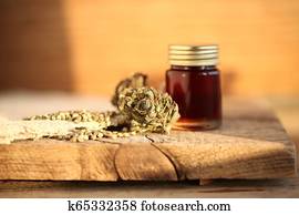 cannabis, komandējums, concept., medicīnas students, marihuāna, kaņepes, un, naudas summas