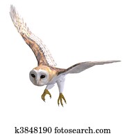 ינשוף של רפת, bird., 3d, השבה, עם, לגזוז שביל, ו, צל, מעל, לבן