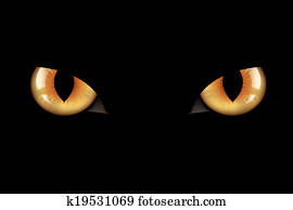 Cats Eyes Cats Eyes
