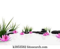 lotus garden lotus garden