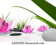 lotus garden lotus garden