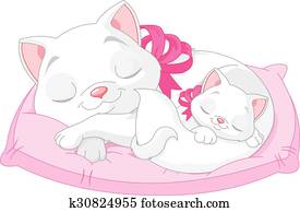 White Cats White Cats