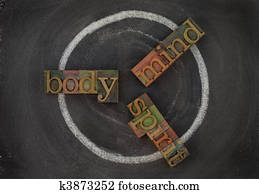 body, mind, soul - wellness cycle body, mind, soul - wellness cycle