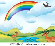 deers, y, arco irirs