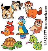 Pet cartoons collection Pet cartoons collection
