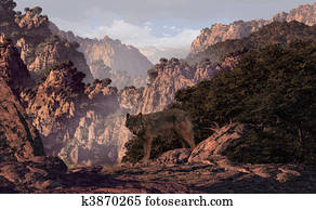 Wolf In The Canyon Wolf In The Canyon