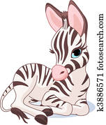 Cute Zebra Foal Cute Zebra Foal