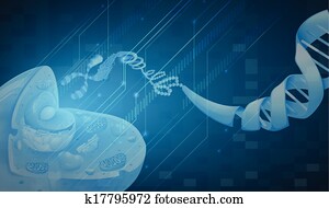 Deoxyribonucleic acid Deoxyribonucleic acid