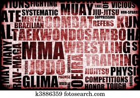 Mixed Martial Arts Mixed Martial Arts