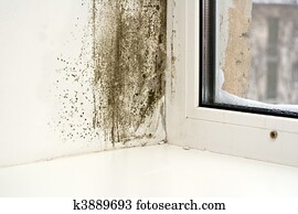 Mold Mold