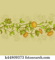safflower seamless pattern safflower seamless pattern