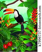 Toucan bird Toucan bird