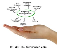 תכונה, ניהול