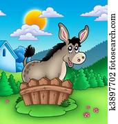 Cute donkey behind fence Cute donkey behind fence