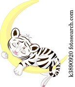 Cute white tiger cub sleeping on th