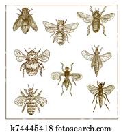 Vintage Bees and Flies Collection Duotone on White background Vintage Bees and Flies Collection Duotone on White background
