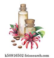 Watercolor star anise oil Watercolor star anise oil