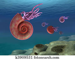 Ammonite seascape Ammonite seascape
