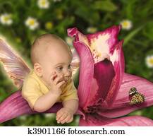 baby on orchid with butterfly collage