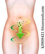 Bowel health Bowel health