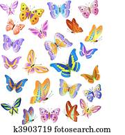 Butterfly Butterfly