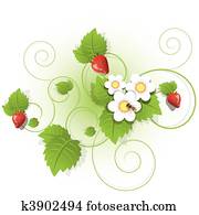 strawberry strawberry