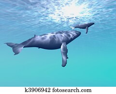 WHALE COMPANY WHALE COMPANY