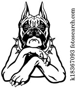 boxer hund boxer hund