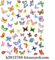 insects insects