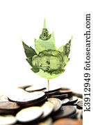 new money plant leaf sprouting from coins