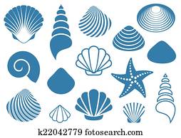 Sea shells Sea shells