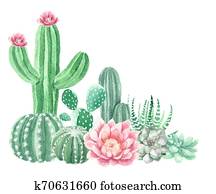Watercolor Cactus and Succulents Watercolor Cactus and Succulents