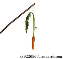 Carrot stick as motivation to eat fruit Carrot stick as motivation to eat fruit