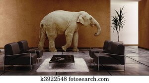 elephant indoor elephant indoor