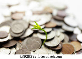 green plant shoot growing from coin pile