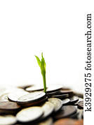 new green plant shoot sprouting from coins