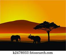 Wildlife Africa Wildlife Africa