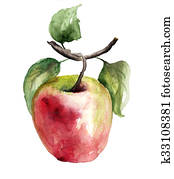 Apple illustration Apple illustration