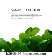 Green clover leafs border with space for text. Green clover leafs border with space for text.