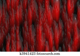 Muscle Fiber Muscle Fiber